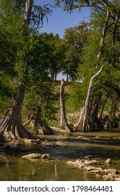 Trees And Water Of Guadalupe River In South Texas