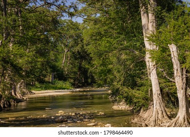 Trees And Water Of Guadalupe River In South Texas