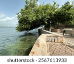 Trees and water in San Juan, Puerto Rico