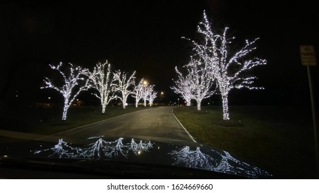 Trees With White Christmas Lights Fairy Light Strung On Tree Lined Street Outside In Neighborhood With Reflection On Car Hood