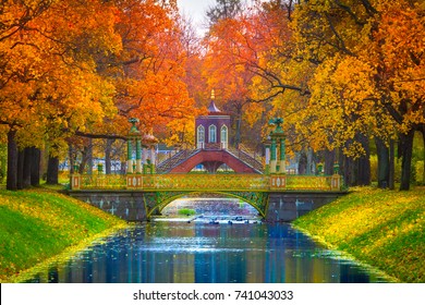 Trees with yellow and red foliage. Autumn Park. The city of Pushkin. Russia. St. Petersburg.