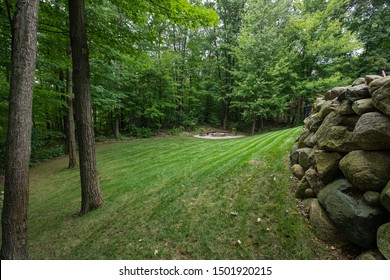 Trees In Your Backyard Provide Shade And Privacy