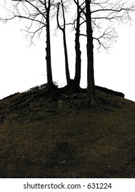 trees-3