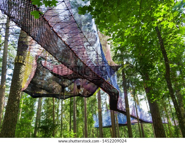 treetop net trampoline park\
in forest