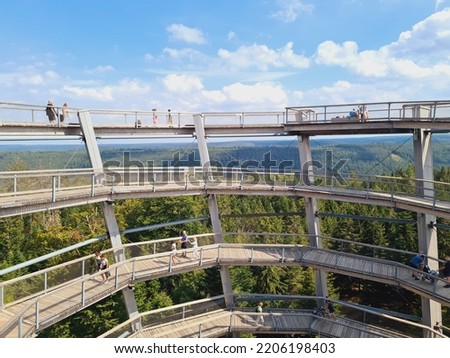 Treetop walk at the Black Forest.