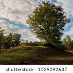 A tree-topped burial mound at Borre, part of a cemetery dating to the later Iron Age and Viking Age - Vestfold, Norway