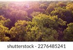 Treetops with yellow leaves on sunny autumn day. Many trees with tree crown. Forest wood woodland. View from above, top view. Aerial drone view. Red sun glare. Beautiful natural background