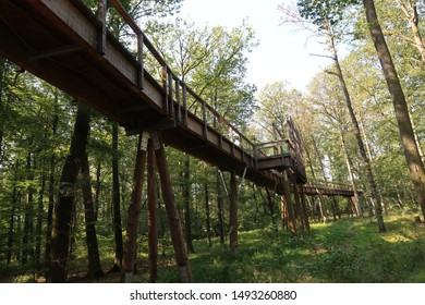 Treetopwalk on an sunny day - Shutterstock ID 1493260880