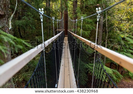 Treewalk, New Zealand