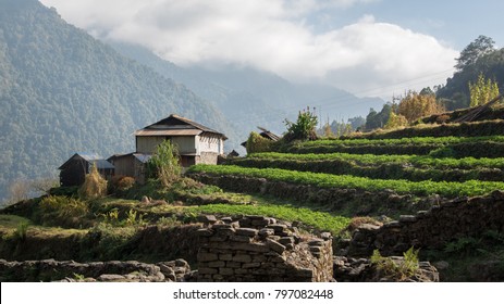 Trek In Annapurna Base Camp 