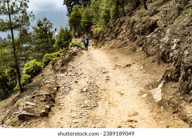 A trekker carrying a blue backpack on his back. Hiking in the himalaya mountains in nepal. Two hikers with their rucksack crossing through a pine forest on a mud stone trail to the everest base camp.  - Powered by Shutterstock