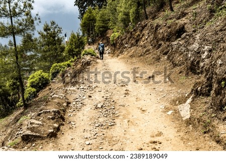 A trekker carrying a blue backpack on his back. Hiking in the himalaya mountains in nepal. Two hikers with their rucksack crossing through a pine forest on a mud stone trail to the everest base camp. 