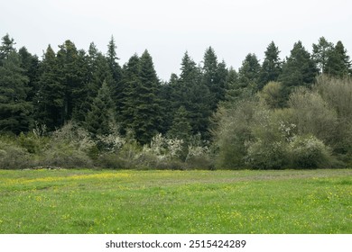 Trekking in foggy and rainy weather in spring. View of the plateau in foggy weather. Water channels on the plateau in foggy weather.
 - Powered by Shutterstock