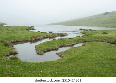 Trekking in foggy and rainy weather in spring. View of the plateau in foggy weather. Water channels on the plateau in foggy weather.
 - Powered by Shutterstock