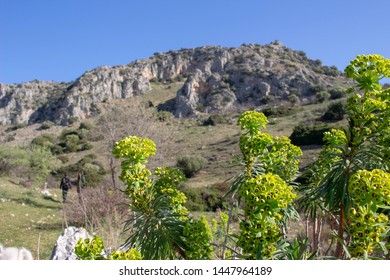 Trekking In The Gargano National Park