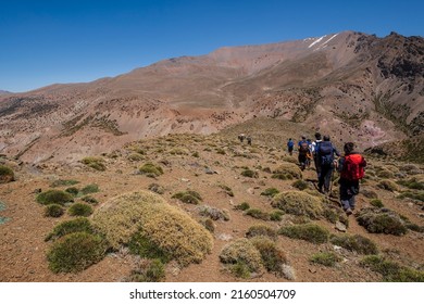 trekking group among thorny bushes, trail to Azib Ikkis via Timaratine, MGoun trek, Atlas mountain range, morocco, africa - Shutterstock ID 2160504709