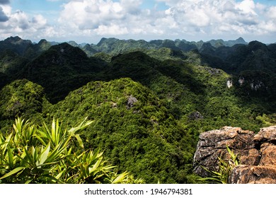 Trekking in the nature reserve on Cat ba Island