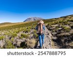 trekking route in Mt Kilimanjaro, Tanzania