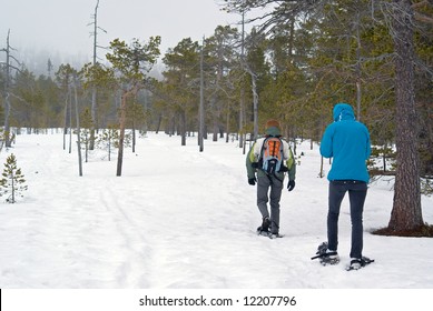 Trekking with snowshoes in the snow