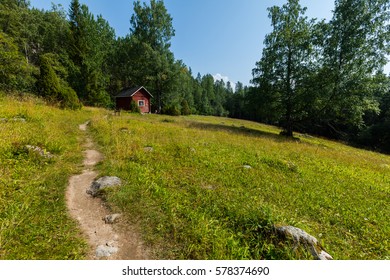 A Trekking Track At Koli, Eastern Finland.