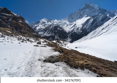 Trekking Trail In Front Of Machapuchre Mountain, Anapurna Base Camp, Pokhara, Nepal