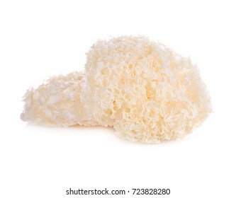  tremella fuciformis white fungus isolated on white