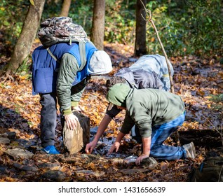 Tremont, Tennessee / USA - 11-11-2018: Camp Kids Looking In A Creek For Salalmanders In The Great Smoky Mountains National Park.