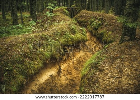The trench was dug in the forest for defense. Trenches in the green forest in summer. Fire moat to stop the fire wall.