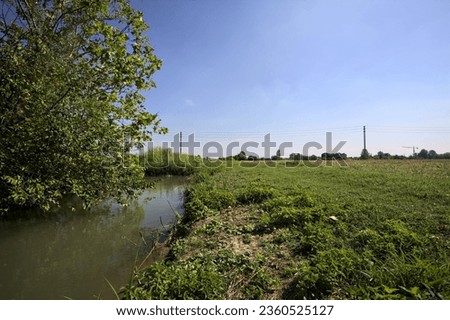 Trench  full of water next to a mowed field bordered by trees on a sunny day in the italian countryside