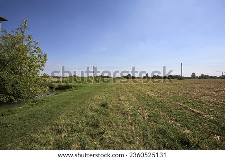 Trench  full of water next to a mowed field bordered by trees on a sunny day in the italian countryside