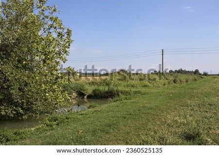 Trench  full of water next to a mowed field bordered by trees on a sunny day in the italian countryside