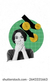 Trend artwork creative sketch photo collage of young lady shocked cover mouth coins arrow down budget reduction investor economy business