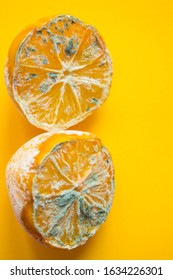 Trend-agli food. Spoiled lemon halves with mold close up on a yellow background with copy space