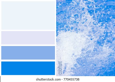 Trendy Color Palettes Water Splashes Inspiration Stock Photo 770455738 ...