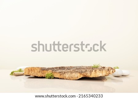 Trendy composition of bark tree with moss on beige background. Abstract podium for organic cosmetic products. Minimal concept with copy space.