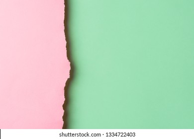 Trendy duotone pink chartreuse green paper background with textured torn frazzle edge. Side border. Poster banner invitation card flyer template. Placeholder mockup for products. Copy space
