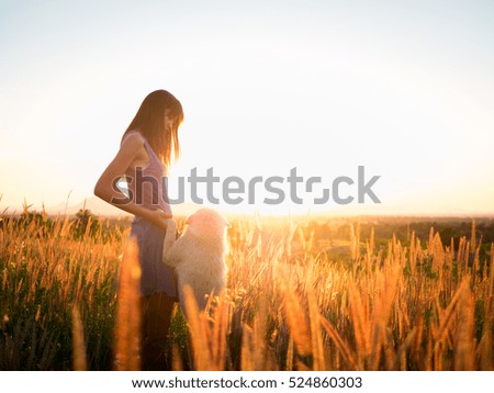 Image, Stock Photo Sunset Vacation & Travel