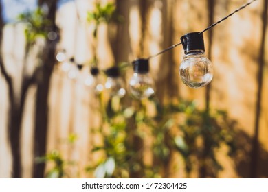 Trendy Globe String Lights Outdoor Hanging From Trees In Private Garden With Wooden Fence And Greenery In The Background