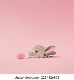 Trendy holiday composition made with Easter cute baby bunny peeking out of a hole on a pastel pink background. Minimal concept of Easter. Creative art, minimal aesthetics. writing space, copy space