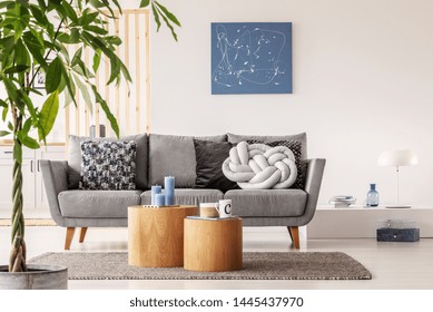 Stylish Scandinavian Living Room Interior Modern Stock Photo (edit Now 