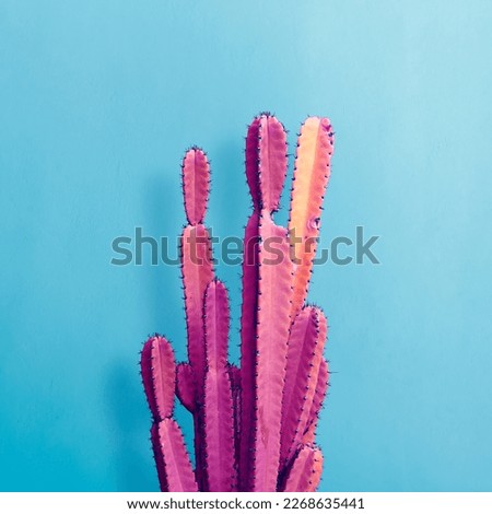 Trendy neon cactus against an blue wall. Minimal creative style or fashion concept.  