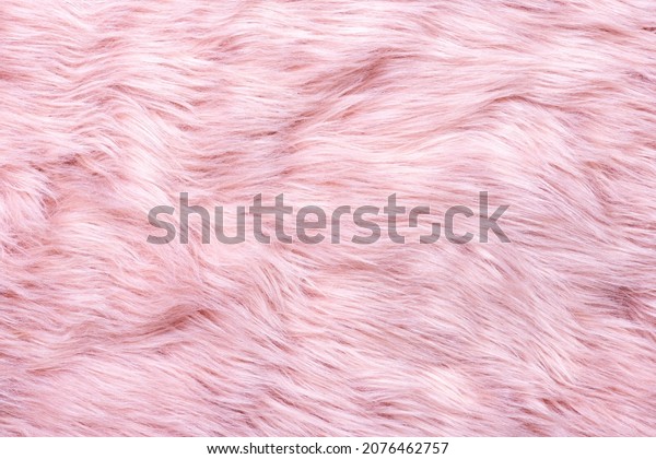 Trendy pink artificial fur texture.\
Fur pattern top view. Pink fur background. Texture of pink shaggy\
fur. Wool texture. Flaffy sheepskin close\
up\
