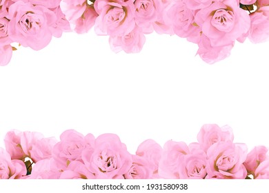 761,172 Floral Border Stock Photos, Images & Photography | Shutterstock