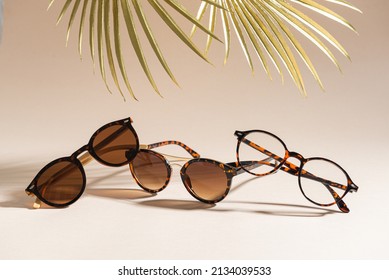 Trendy sunglasses of different design and eyeglasses on beige background with golden palm leaves. Copy space for text. Sunglasses sale concept. Optic shop promotion banner. Eyewear fashion