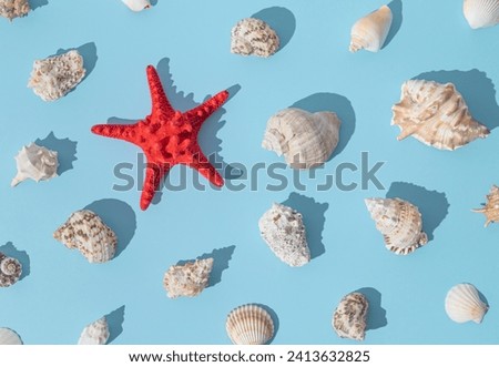 Trendy sunlight summer pattern made with sea shells and red starfish on light blue background. Minimal summer concept. Creative sea shells and starfish idea. Summer aesthetic.