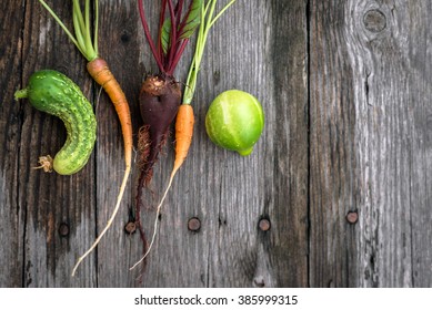 Trendy Ugly Beetroot, Carrot  And Cucumber From Home Garden, Pure Organic