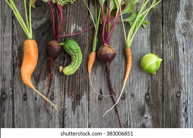 Trendy Ugly Organic Carrot, Beetroot And Cucumber From Home Garden