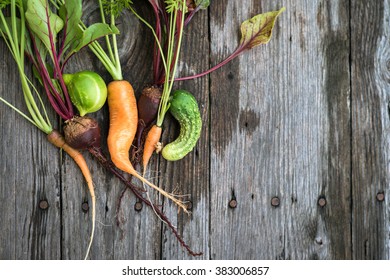 Trendy Ugly Organic Carrot, Beetroot And Cucumber From Home Garden