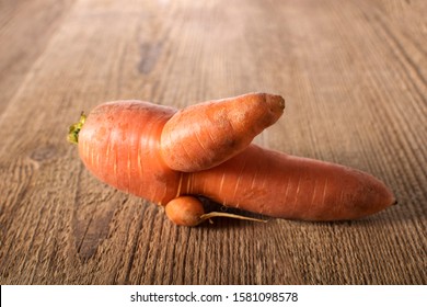 Trendy Ugly Organic Carrot From Home Garden On Barn Wood Table.