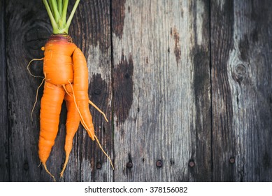 Trendy Ugly Organic Carrot From Home Garden On Barn Wood Table. Cross-processed And Color Toned Image.